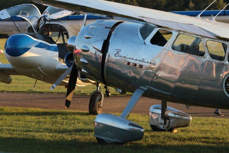 IPL’s Role in Promoting Cricket in Urban Areas