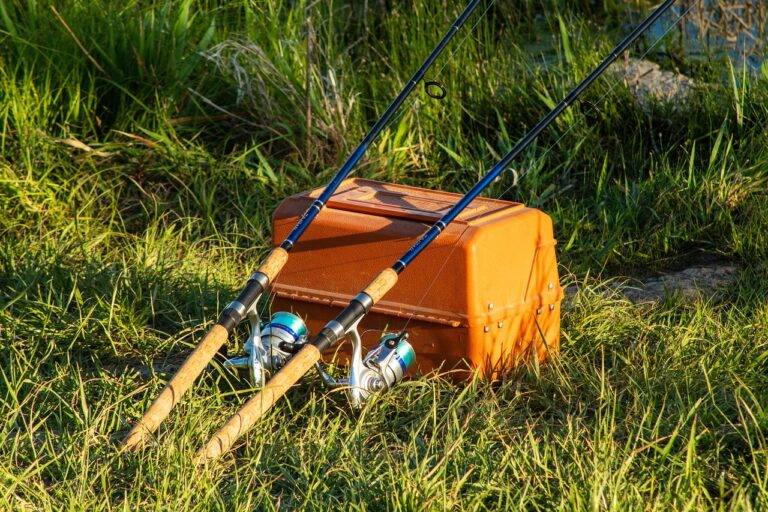 IPL Player Transfers: Analyzing Recent Moves