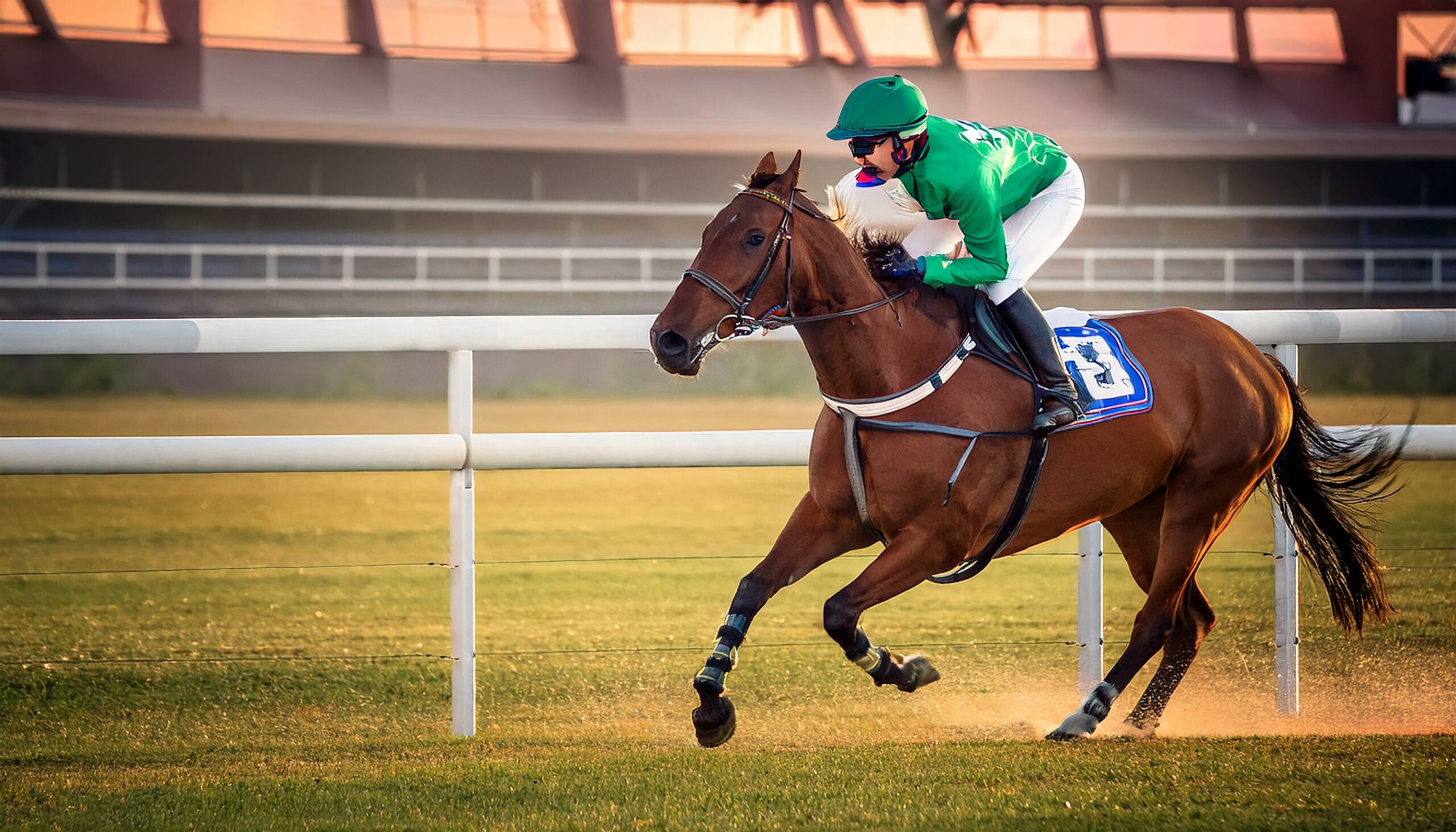 A Comprehensive Guide to Betting on One-Day International Series (ODIs) with Online Cricket Betting Platforms