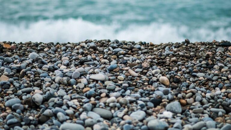 How To Complete 99 Exch Live Login Process?