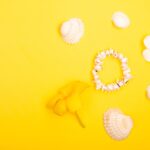 Reddybook Review: Innovative Digital Learning Platform & Its 11xplay Integration